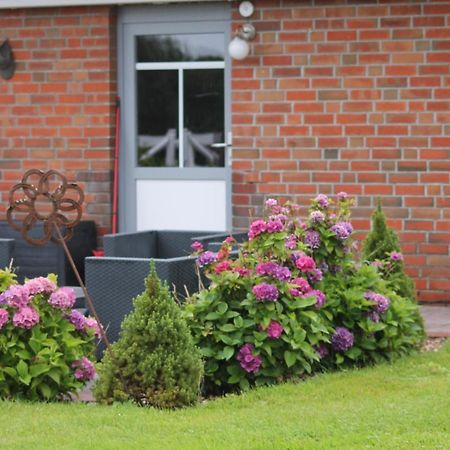 Balzwiekje Auszeit Auf Pferdehof In Ostfriesland Ihlow  المظهر الخارجي الصورة