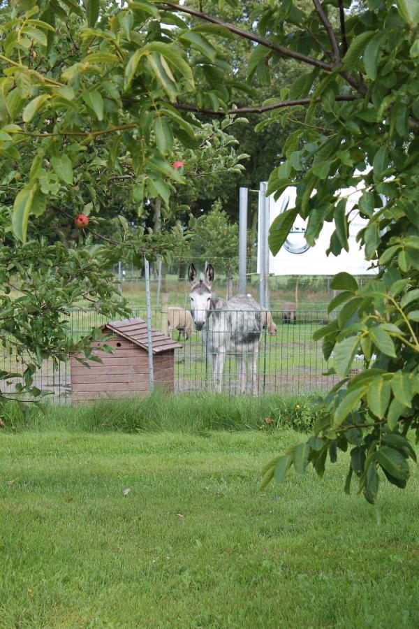 Balzwiekje Auszeit Auf Pferdehof In Ostfriesland Ihlow  المظهر الخارجي الصورة